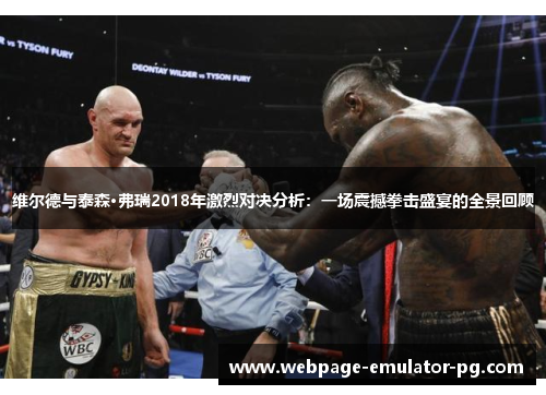 维尔德与泰森·弗瑞2018年激烈对决分析：一场震撼拳击盛宴的全景回顾