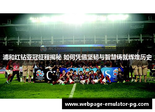 浦和红钻亚冠征程揭秘 如何凭借坚韧与智慧铸就辉煌历史