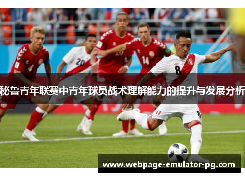 秘鲁青年联赛中青年球员战术理解能力的提升与发展分析