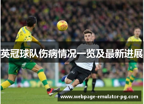 英冠球队伤病情况一览及最新进展